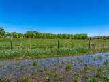 20590 Us Hwy 84 - Photo 7