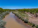 20590 Us Hwy 84 - Photo 8