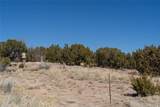 28 Paseo Del Halcon - Photo 25