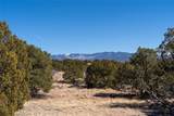28 Paseo Del Halcon - Photo 29