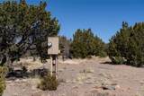 28 Paseo Del Halcon - Photo 30