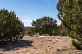 28 Paseo Del Halcon - Photo 32