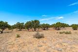 26 and 24 Sierra Del Sol - Photo 45