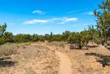 26 and 24 Sierra Del Sol - Photo 47