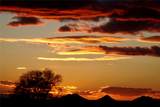 26 and 24 Sierra Del Sol - Photo 57