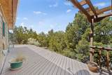 7342 Old Santa Fe Trail - Photo 50