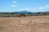 12 Arroyo Trail - Photo 50