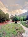 53 County Road B44c - Photo 51