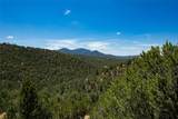 1233 Summit Drive - Photo 49