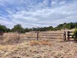 331 Mirasol Road - Photo 2