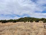 331 Mirasol Road - Photo 3