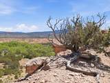1 Camino Salvarse - Photo 34