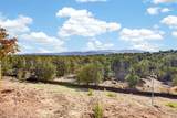 4021 Via Verdi, Lot 228 - Photo 2