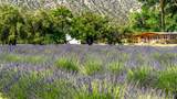 PURPLE ADOBE LAVENDE Farm 25 Private Drive  1622 - Photo 16