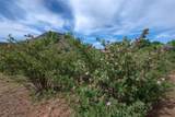PURPLE ADOBE LAVENDE Farm 25 Private Drive  1622 - Photo 20