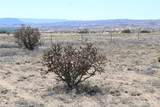 TBD Bridle Trail - Photo 5