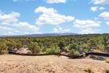 4025 Via Verdi, Lot 229 - Photo 3