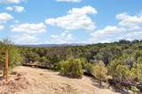 4025 Via Verdi, Lot 229 - Photo 4
