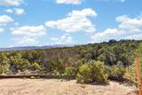 4025 Via Verdi, Lot 229 - Photo 5