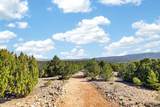 4025 Via Verdi, Lot 229 - Photo 6