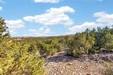 4025 Via Verdi, Lot 229 - Photo 7