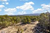 4024 Via Verdi, Lot 232 - Photo 7