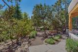 850 Paseo De Don Carlos - Photo 40