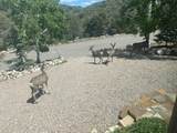 850 Paseo De Don Carlos - Photo 5
