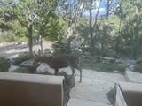 850 Paseo De Don Carlos - Photo 66