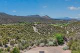 850 Paseo De Don Carlos - Photo 67