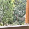 850 Paseo De Don Carlos - Photo 7