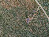 35 Vista Del Oro - Photo 71