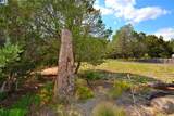 904 Bishops Lodge Road - Photo 51