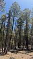 43.9 Acres Sawyer Mesa Road - Photo 1