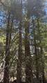 43.9 Acres Sawyer Mesa Road - Photo 11
