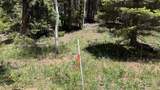 43.9 Acres Sawyer Mesa Road - Photo 14