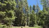 43.9 Acres Sawyer Mesa Road - Photo 2