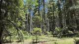 43.9 Acres Sawyer Mesa Road - Photo 4
