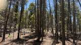 43.9 Acres Sawyer Mesa Road - Photo 8