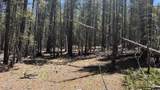 43.9 Acres Sawyer Mesa Road - Photo 9