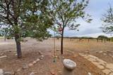 7 Bonito Court - Photo 41