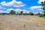 6309 Calle Zanate - Photo 45