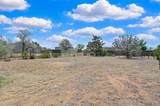 6309 Calle Zanate - Photo 47
