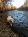 22 El Gasnate Road - Photo 1