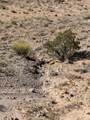 TBD Pueblo Drive - Photo 18
