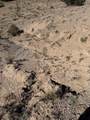 TBD Pueblo Drive - Photo 20