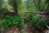 18 Rancho De Ortiz - Photo 16
