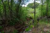 18 Rancho De Ortiz - Photo 19