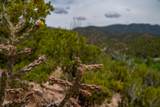 18 Rancho De Ortiz - Photo 28