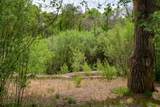18 Rancho De Ortiz - Photo 6
